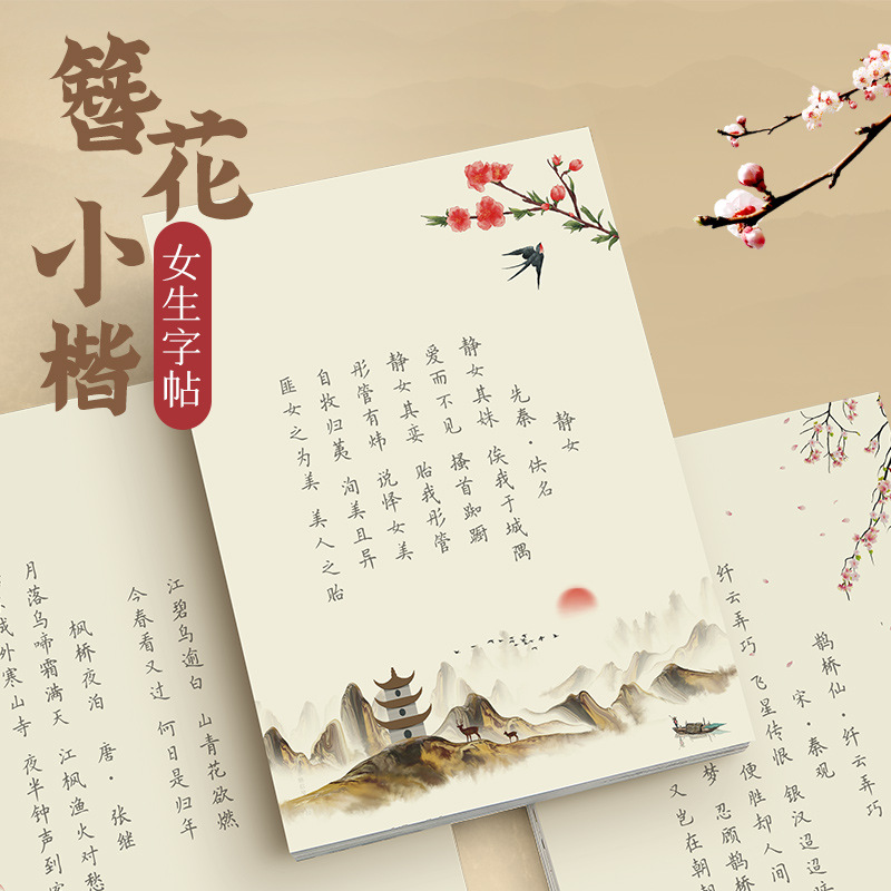 Chinese Calligraphy Practice Book - Quaderno di calligrafia Hairpin Flower Small