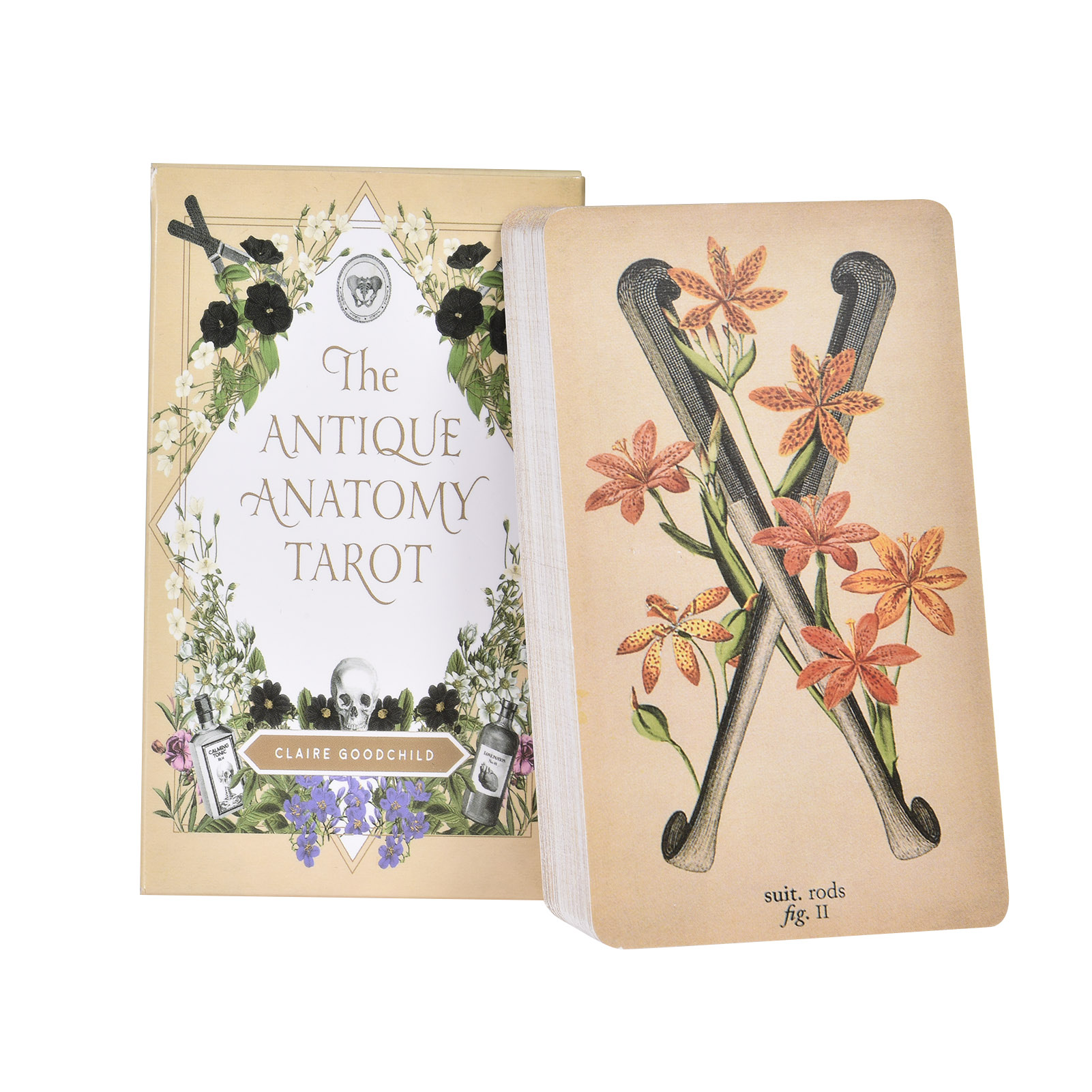 Tarot Deck With Guidebook - Le Carte dei Tarocchi dell'Anatomia Antica,