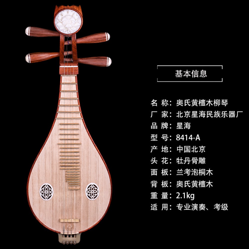 Beijing Xinghai 8414-A Liuqin  - Music recensione e prezzo