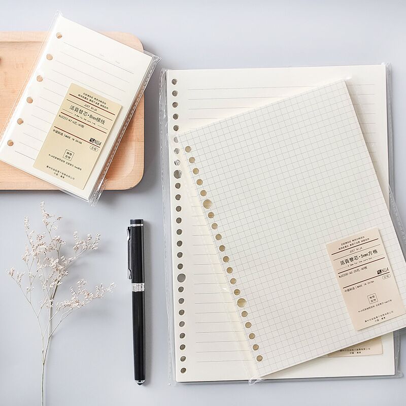 Griglia di linea A5 B5 20 fori - A5 Spiral Dotted Grid Notebook recensione e prezzo
