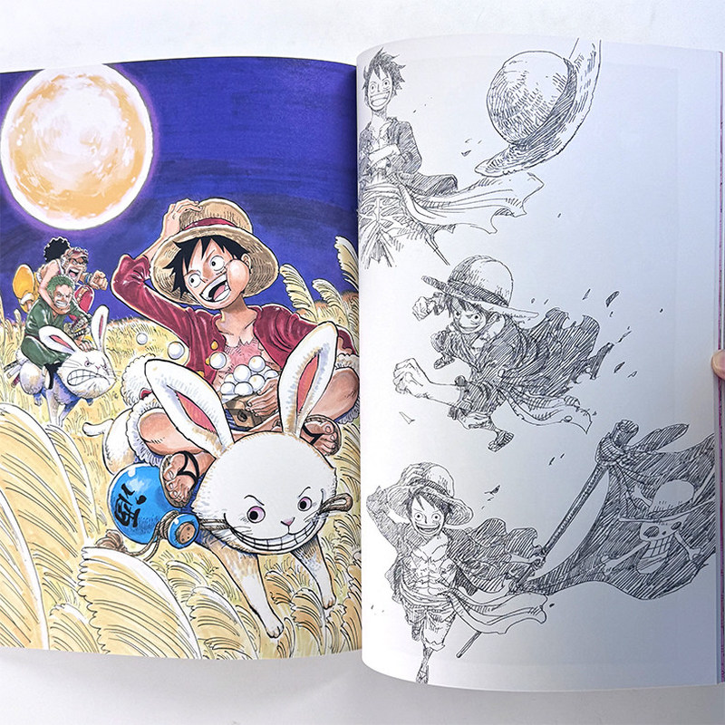 One Piece Illustration Book Co - Stationery Books recensione e prezzo