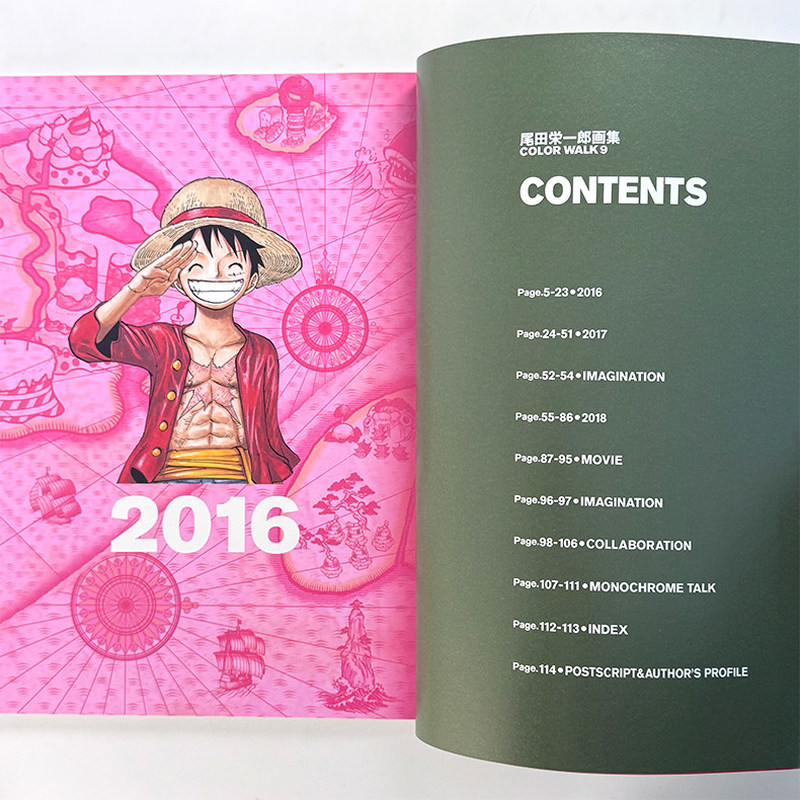 One Piece Illustration Book Co - Stationery Books recensione e prezzo