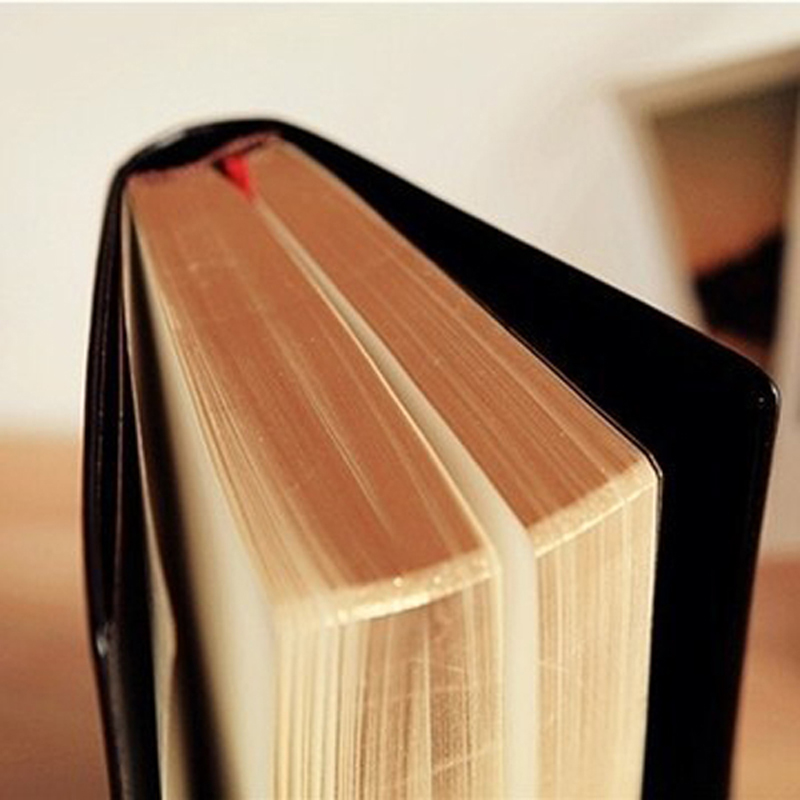 Quaderno della Bibbia in pelle - Vintage Leather Journal Notebook recensione e prezzo
